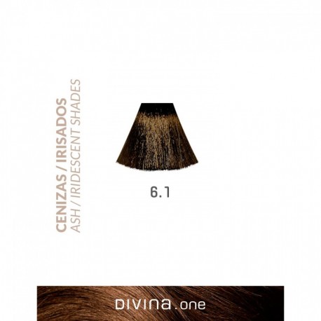 TINTE DIVINA ONE Nº 6.1 RUBIO CENIZA OSCURO